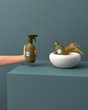 Load image into Gallery viewer, Ashley & Co - Benchpress